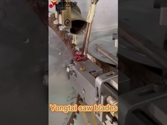 フォシャン・ヨンタイ サーブブレード工場 TCT 円形サーブブレード 木材